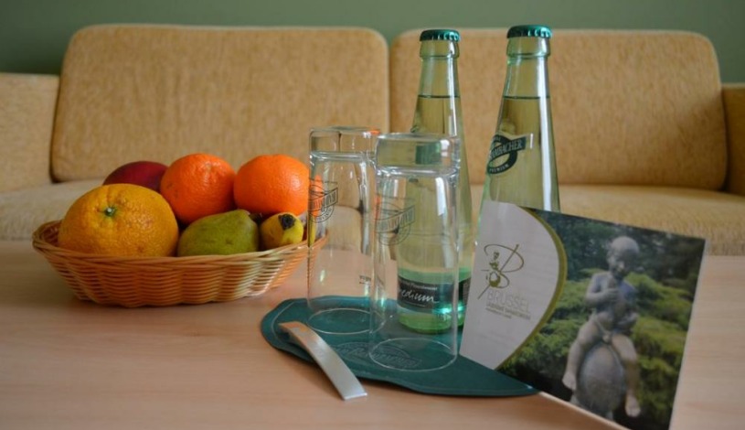 Kurhotel Brussel Františkovy Lázně